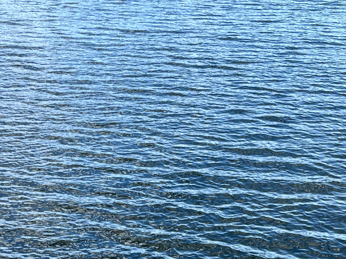 A close up of rippling, clear blue water in a lake or ocean. The colours span bright blue to dark navy.