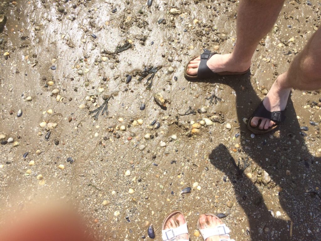 Are your feet barefoot ready for summer? 4 Two pairs of feet in Birkenstock sandals stand on a wet beach, The sand is covered in small sharp pieces of shell and stones, pebbles.