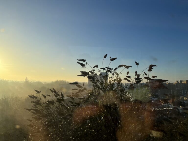 It is a sunny winter's day. The yellow sun is streaming from the left hand side of the photo and the sky is blue. It is a shot of nature taken from the train.