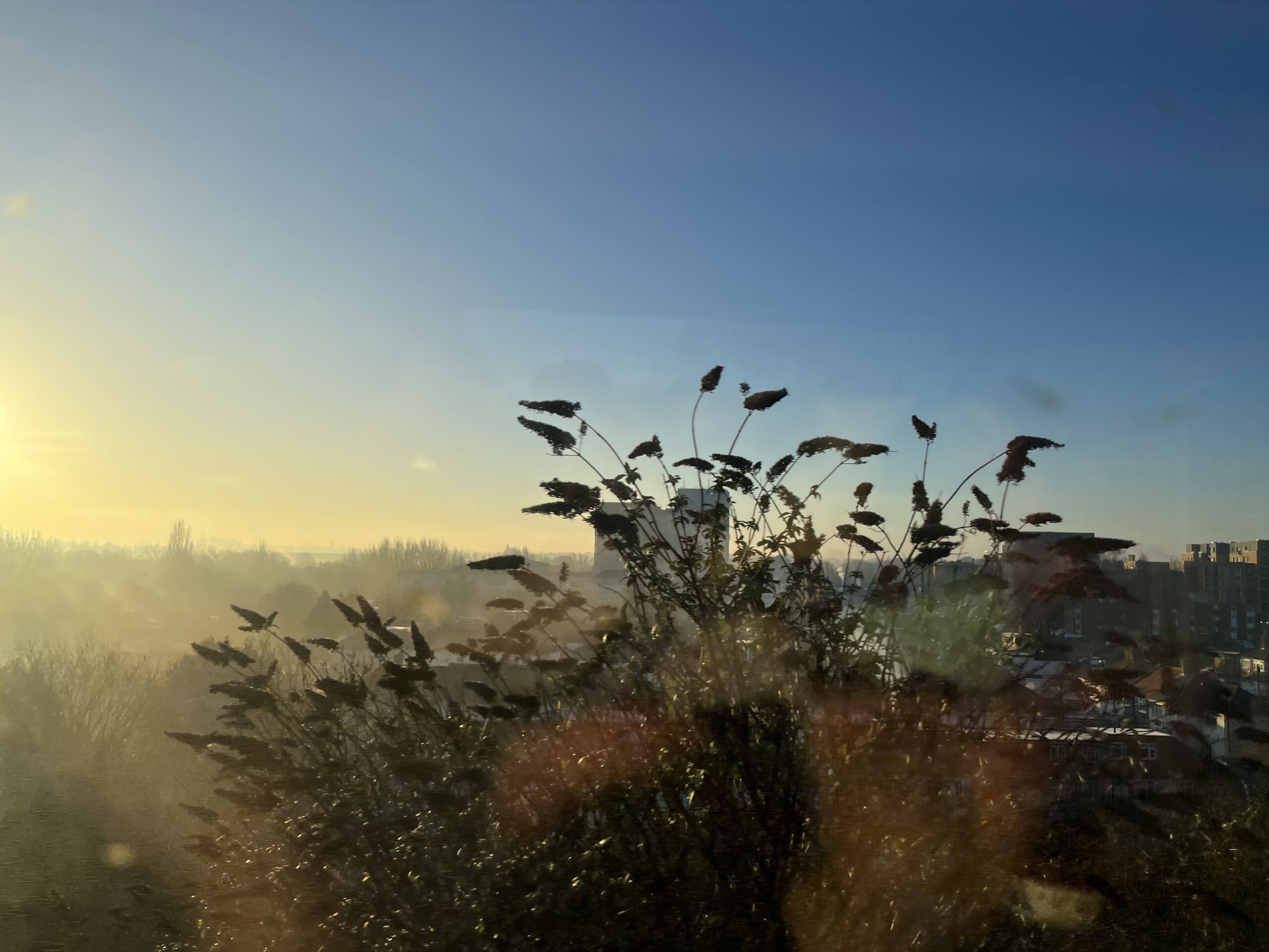 It is a sunny winter's day. The yellow sun is streaming from the left hand side of the photo and the sky is blue. It is a shot of nature taken from the train.