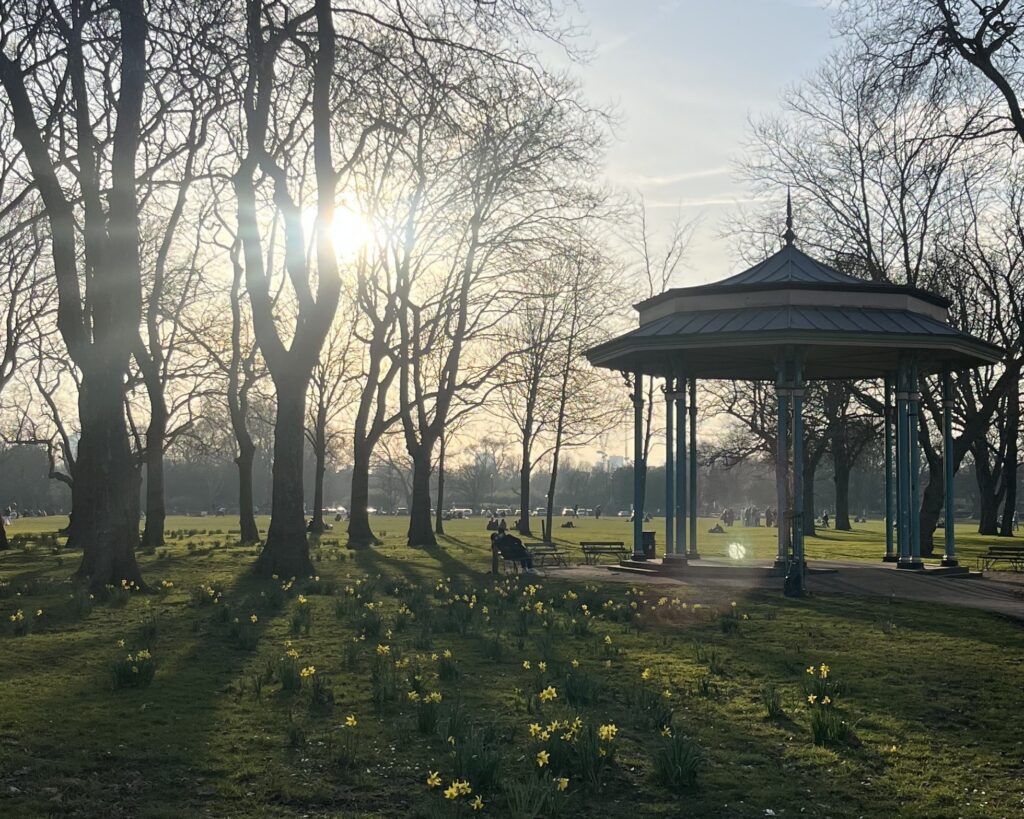 VickyParkDaffsSpring Copy