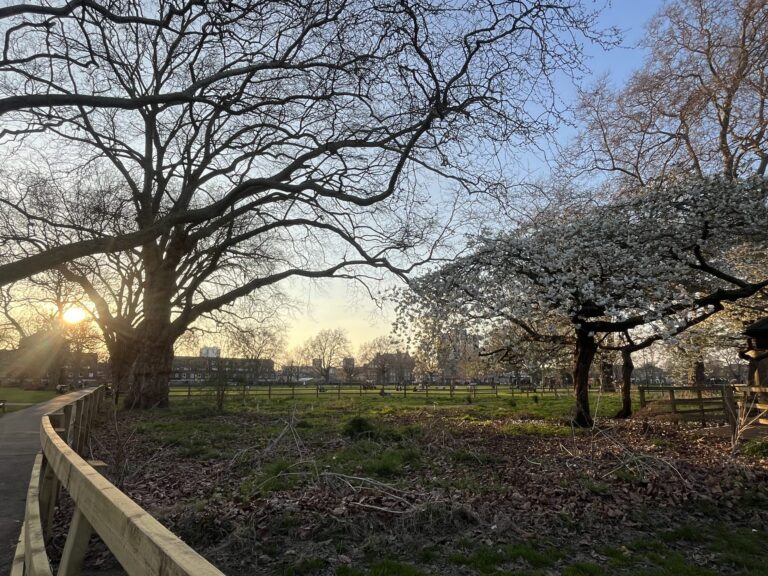 Spring Blossom Sunset scaled 1