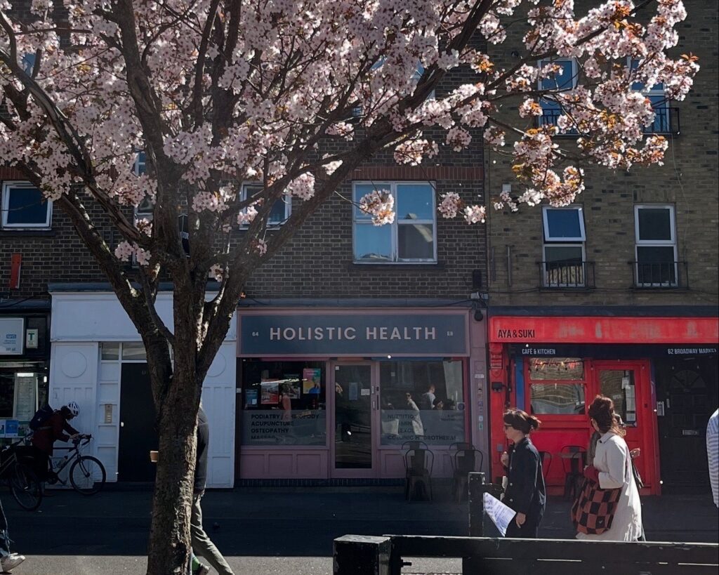 blossom clninic Copy