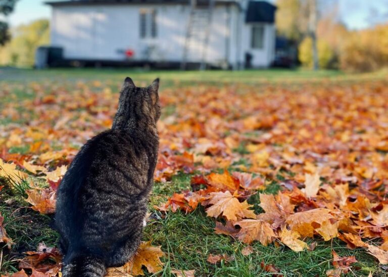 57852e20 2424 4d0f 80e8 5beef98c7cda Copy