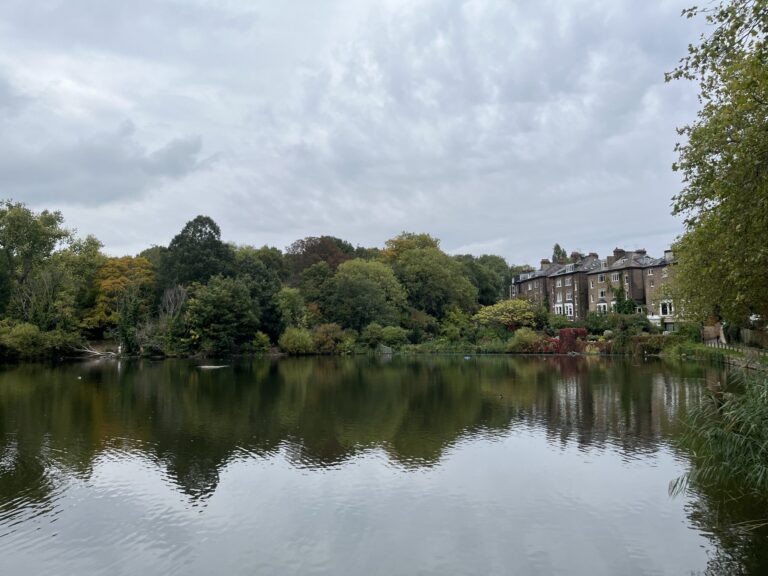 Autumn Hampstead Heath scaled 1