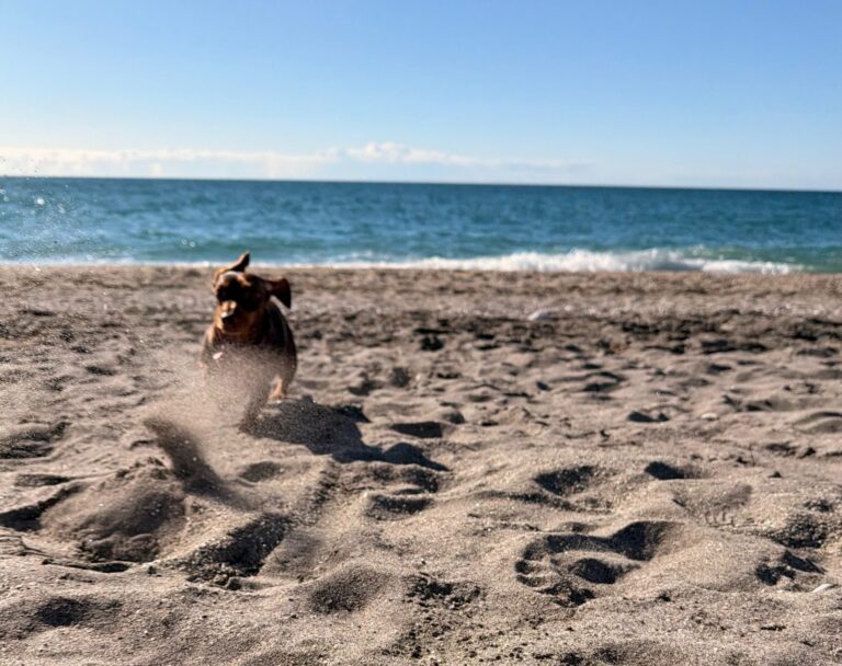 695f946a9f46a33fb9a5cfca scaled 1