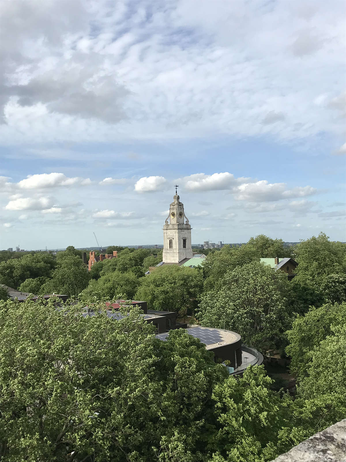 IMG 3348 copy