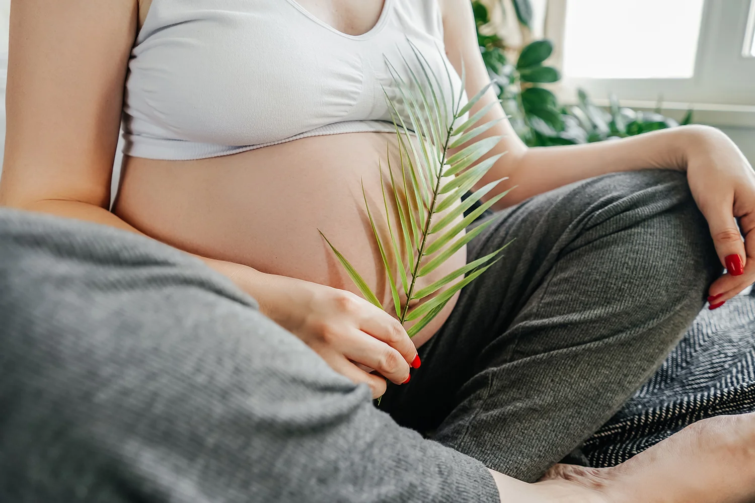 pregnant woman holding green palm branch concept