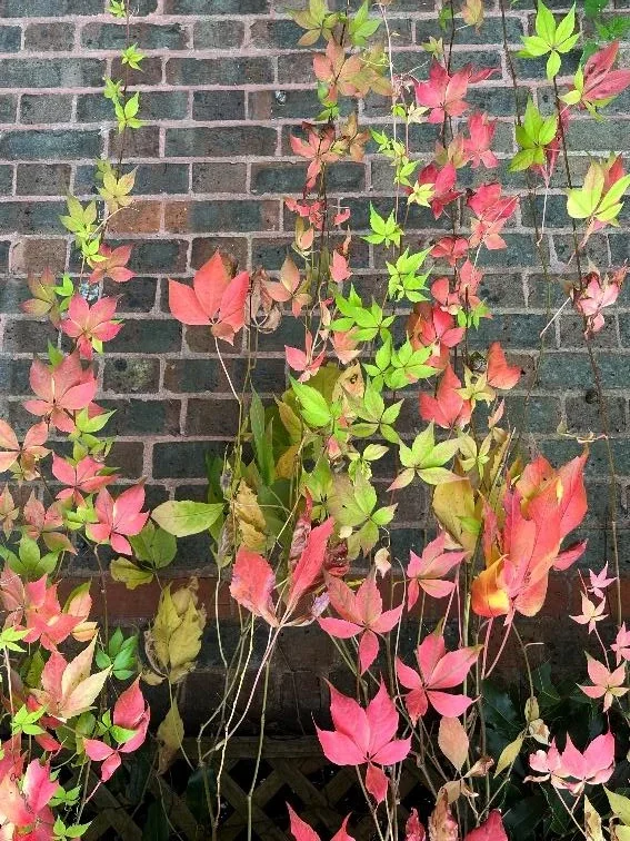 Fresh Start September e1792495011609